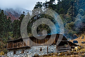 A typical Nepalese Home made with wood and smoke coming out of hut in Taplejung, Nepal