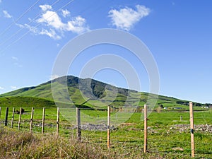 Typical New Zealand rolling countryside