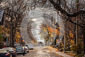 Typical north American residential street in autumn in Centretown, Ottawa, Ontario, during an autumn afternoon, with cars parked, photo