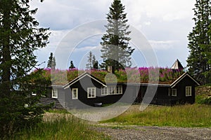 Typical norwegian holiday house, hytte photo