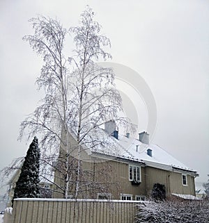 Typical norwegian house captured during winter.