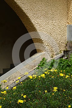 Typical ogive arch in a cathedral