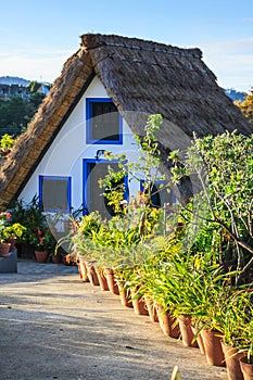 Typical old houses on Santana, Madeira island, Portugal