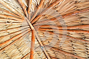 Palm leaf roof photo