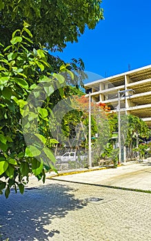 Typical pedestrian street cityscape wall paintings Playa del Carmen Mexico photo