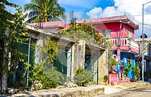 Typical pedestrian street cityscape wall paintings Playa del Carmen Mexico photo