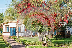 A typical Peruvian hacienda in the city of Nazca