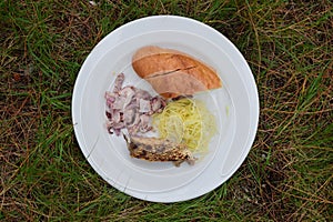 A typical picnic meal served on a grass field showing fun and good time