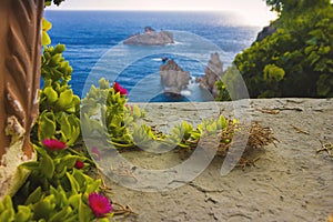 Typical plants and sea view in Greece, Corfu island