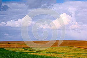 Typical Polish landscape