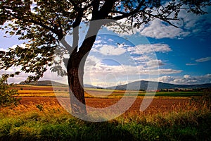 Typical Polish landscape