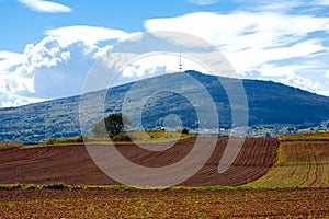 Typical Polish landscape