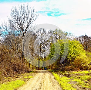 Typical Polish landscape