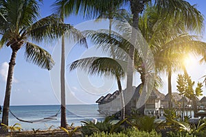 Typical Polynesian landscape - seacoast with palm trees and small houses on water