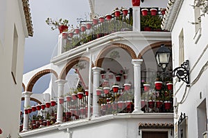 Typical potted plants on Mijas village