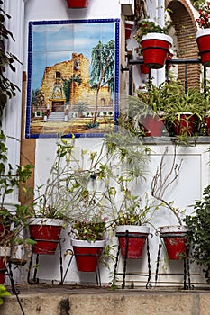 Typical potted plants on Mijas village