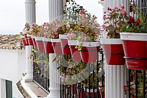 Typical potted plants on Mijas village