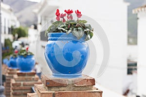 Typical potted plants on Mijas village