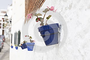 Typical potted plants on Mijas village