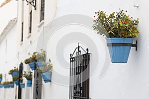 Typical potted plants on Mijas village photo