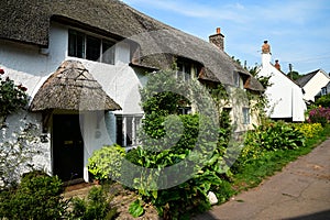 Typical quaint, ancient white washed thatched roof cottages in Dunster, Somerset