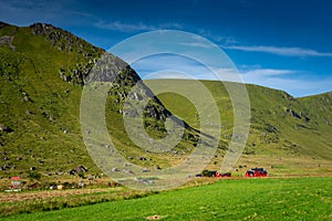 Typical red houses with grass on the roof in the Lofoten Islands,  Norway