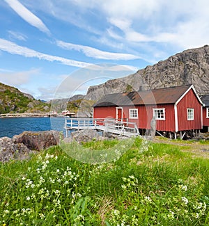 Typical red rorbu fishing hut in village Nusfjord