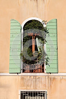 Typical renaissance window in Venice