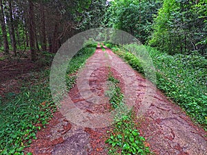 Typical Roadway Within Luther Marsh Conservation Area