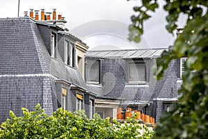 Typical roofs of haussmann buildings in Paris