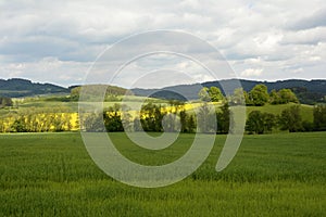 Typical Rural Bohemian Forest Landscape, Czech Republic, Europe