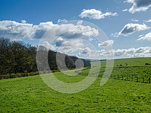 A typical rural English scene in Spring