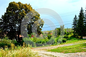 Typical rural landscape in Dealu Frumos, Schoenberg, Transilvania, Romania photo