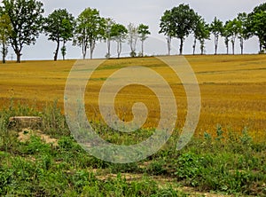 Typical rural landscape design. Land of Latvia, Kurzeme region photo