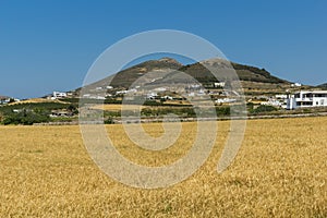 Typical Rural landscape near town of Parakia, Paros island, Greece