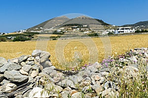 Typical Rural landscape near town of Parakia, Paros island, Greece