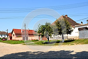 Typical rural landscape and peasant houses in Bruiu - Braller, Transilvania, Romania