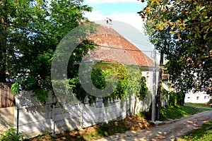 Typical rural landscape and peasant houses in the village TicuÅŸu Vechi, Deutsch-Tekes, Transylvania, Romania