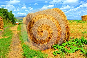 Typical rural landscape in the plains of Transylvania, Romania