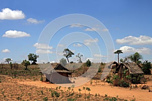 Typical Rural Madagascar view