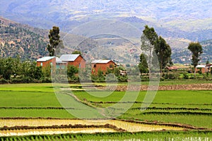 Typical rural Madagascar view