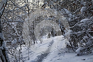 Typical russian abandoned snow-covered village in winter day