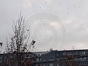 Typical Russian house