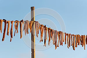 Typical salty dried fish peix sec in the Balearic islands of the Mediterranean in Es Calo, Formentera, Spain