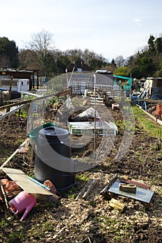 A typical scene in an Allotment