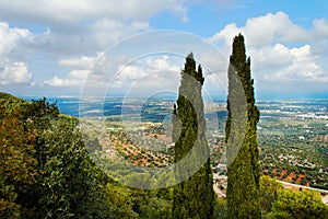 Typical scenery in the Itria Valley