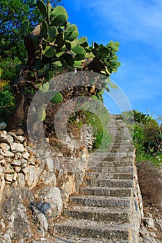 Typical sicilian staircases photo