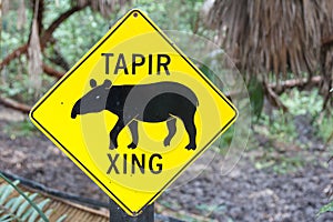 Typical sign waning about tapir possibly crossing the road