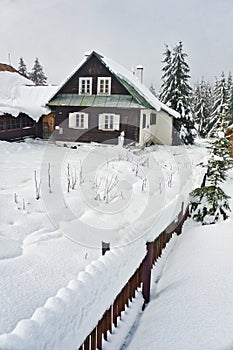 Typická slovenská dřevěnice v horské obci Bully u Donoval