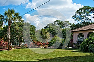 Typical southern florida neighborhood